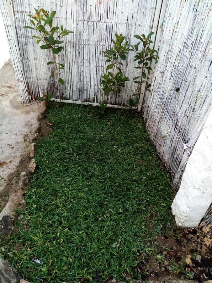 Private House Only For You 145 - 8Min Historiccenter Vila Nova de Gaia Eksteriør bilde